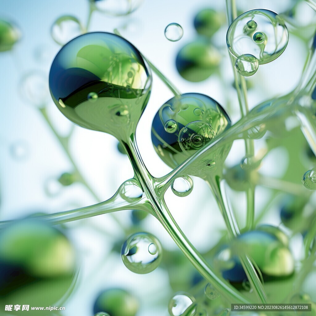 水分子
