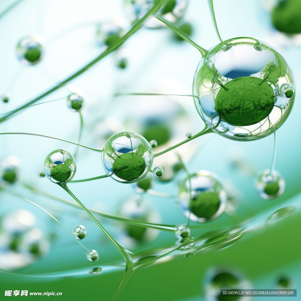 水分子