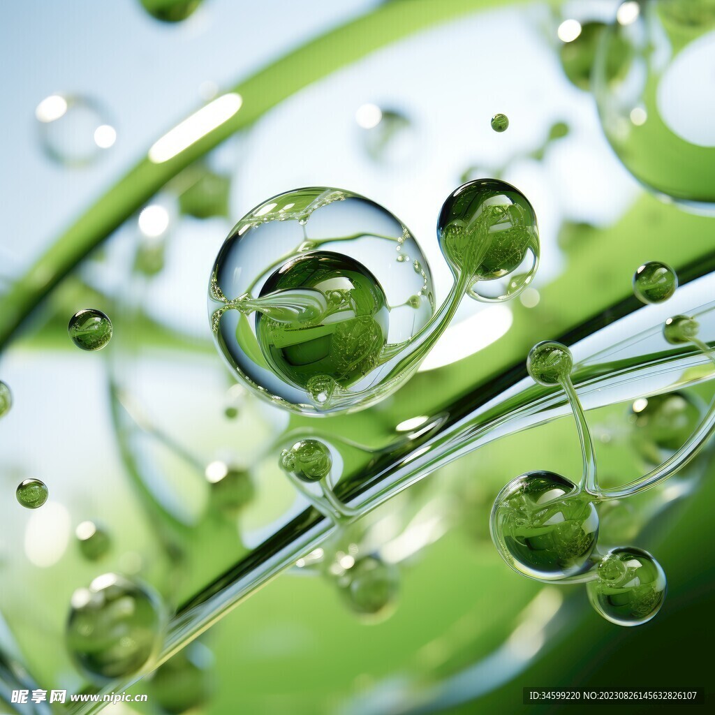 水分子