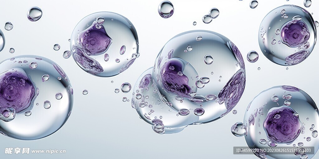 水分子
