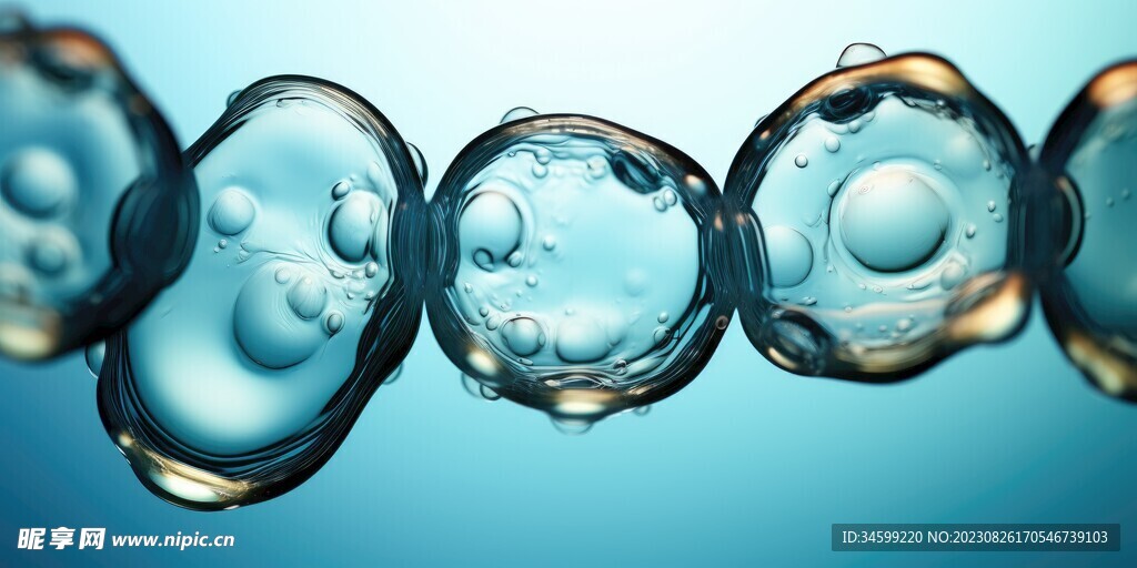 水分子