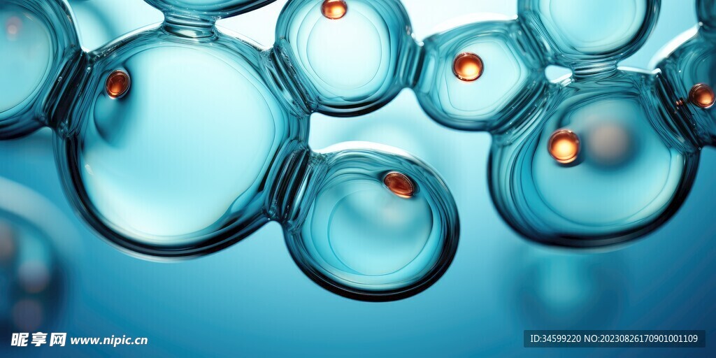 水分子