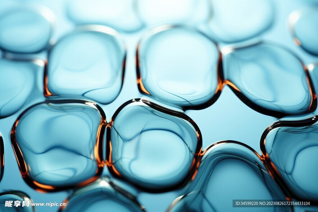 水分子