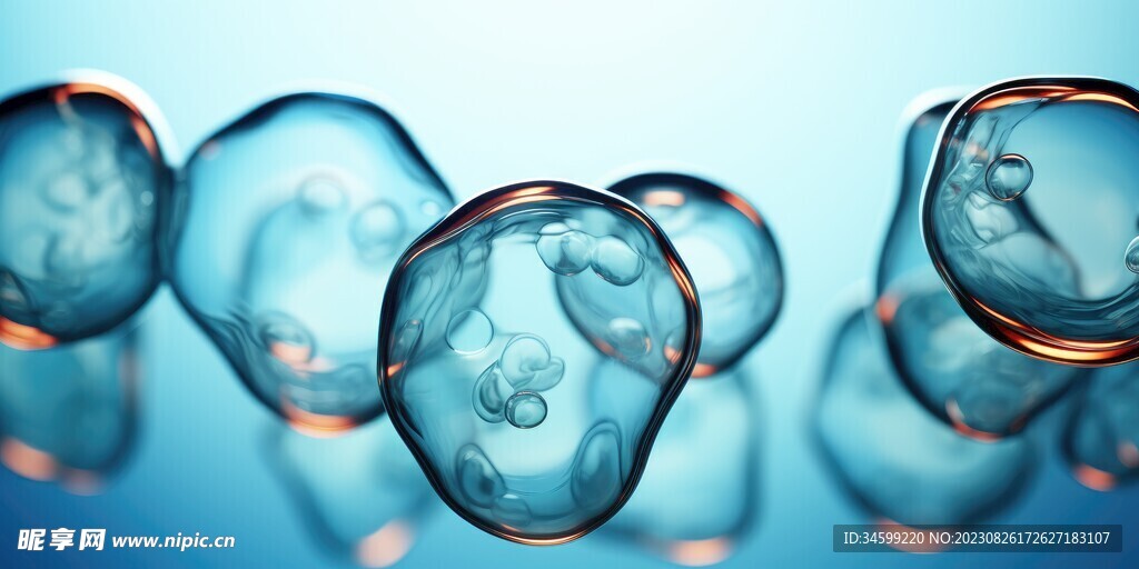 水分子