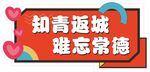 知青返城 手举牌 拍照牌