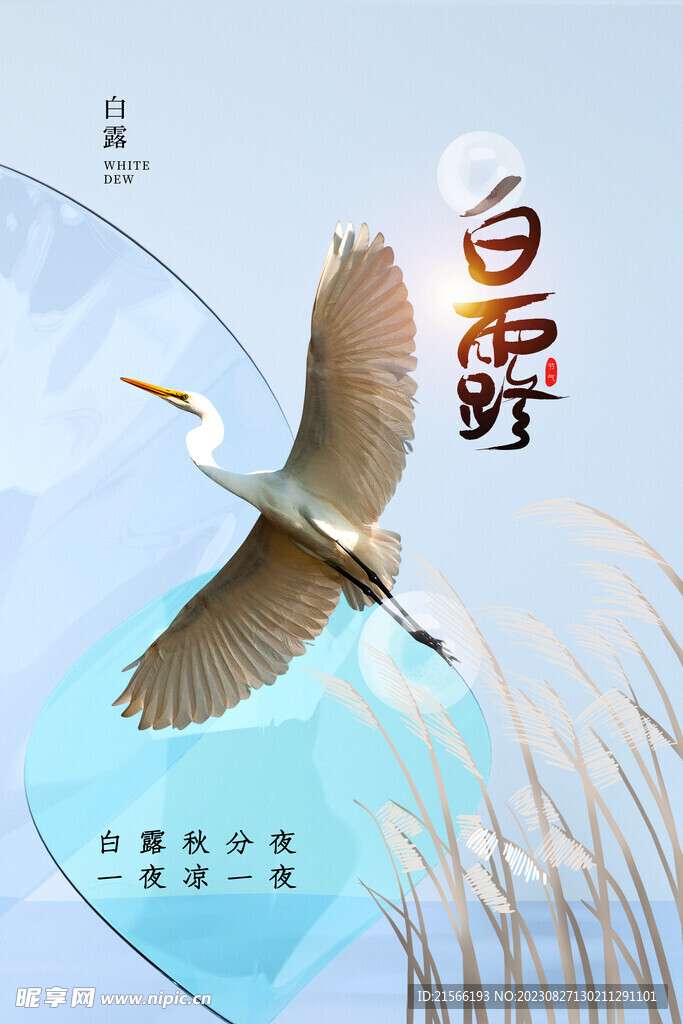 白露海报