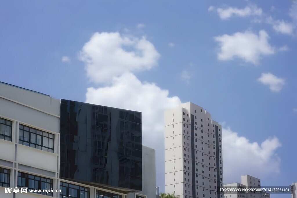 学校