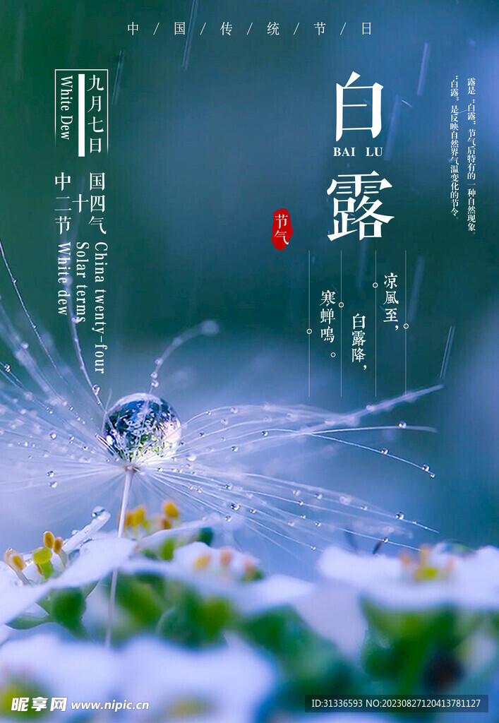 节气白露