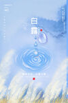 白露节气海报