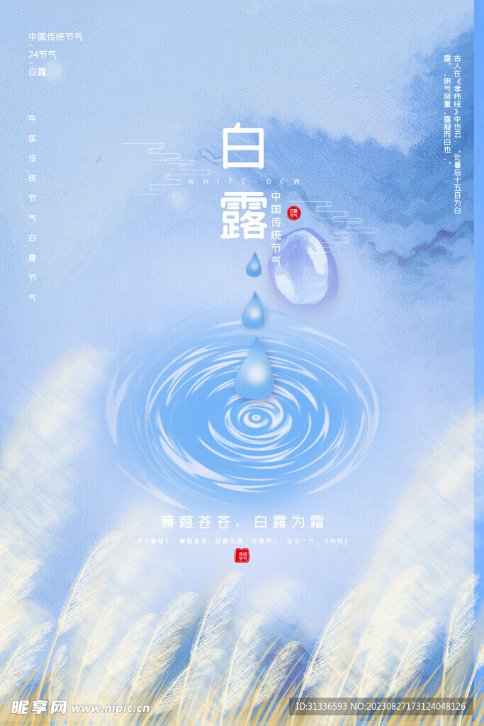白露节气海报