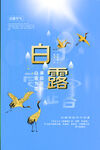 白露图片