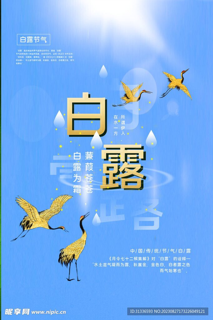 白露图片