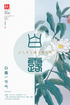 24节气海报