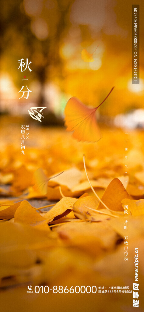 秋分广告