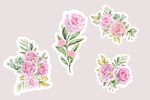 鲜花素材