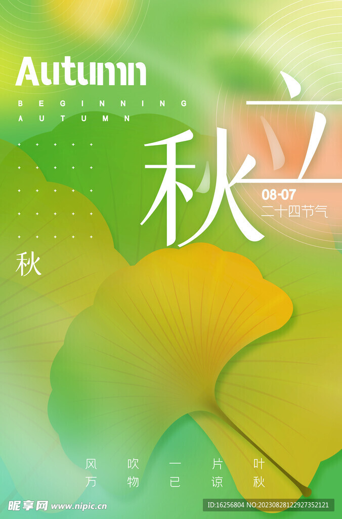 立秋海报