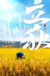 立秋海报
