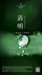 清明时节雨纷纷