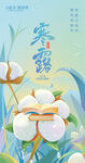 寒露海报