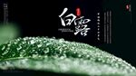 白露单张素材广告