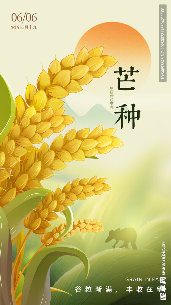 芒种中国节气插图海报设计