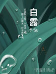白露海报