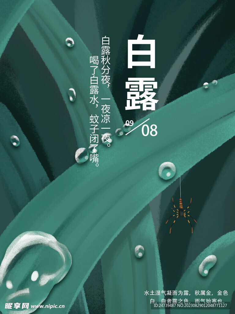 白露海报