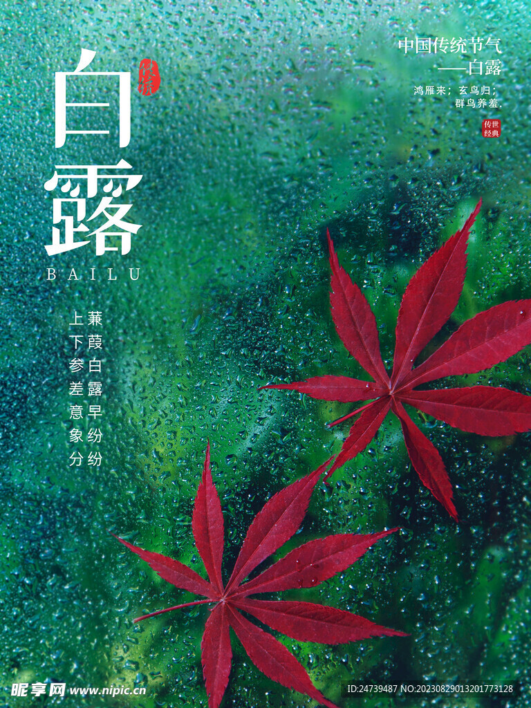 白露海报 