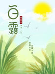 白露海报