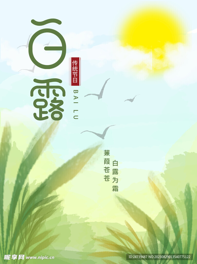 白露海报