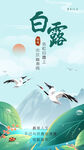 白露海报