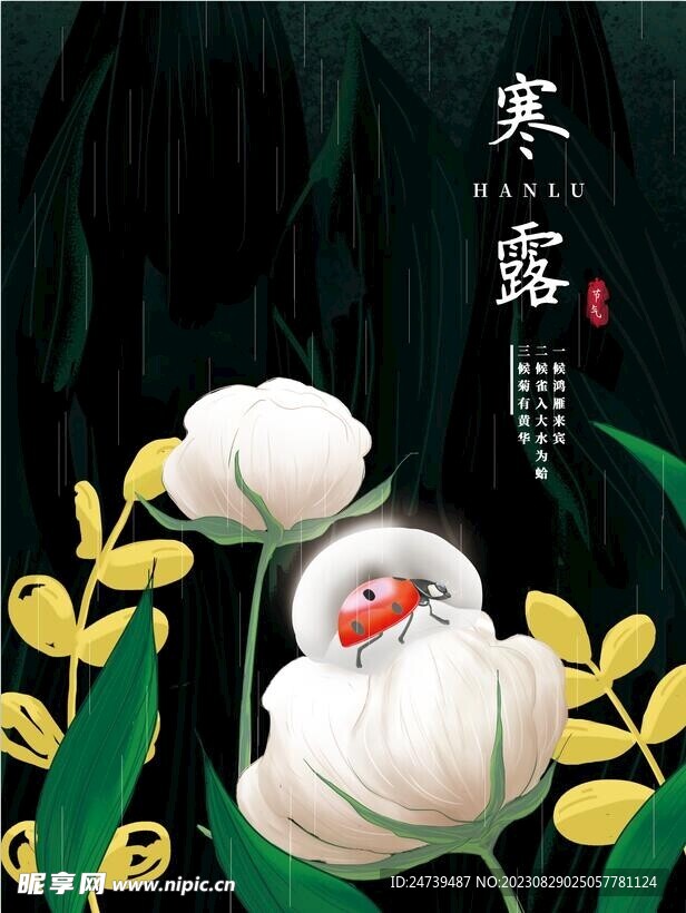 寒露海报