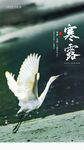 寒露海报