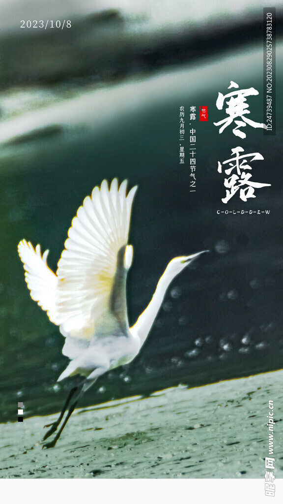 寒露海报