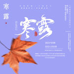 寒露素材