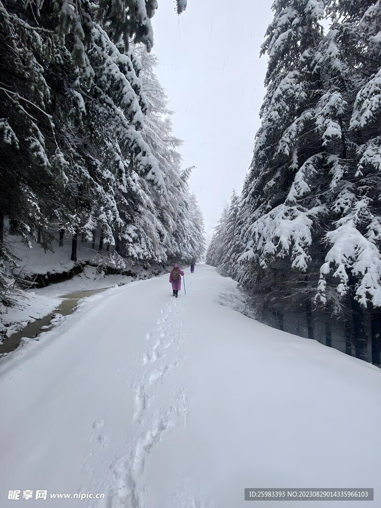 学校小路