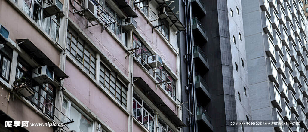 学校