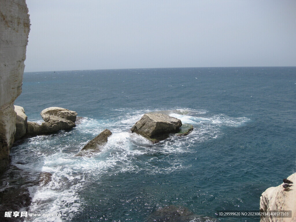 大海