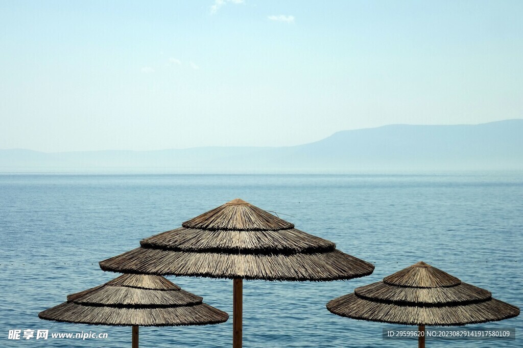大海