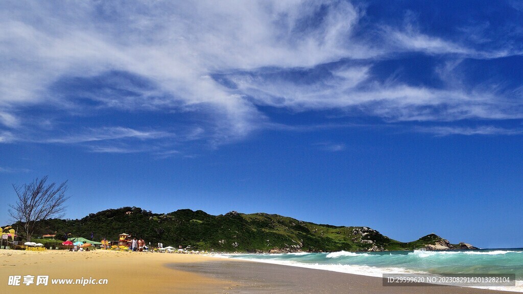 大海