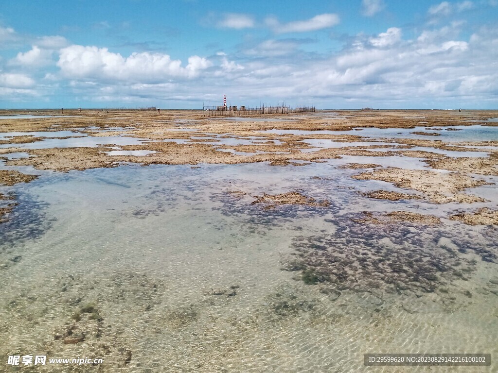 大海