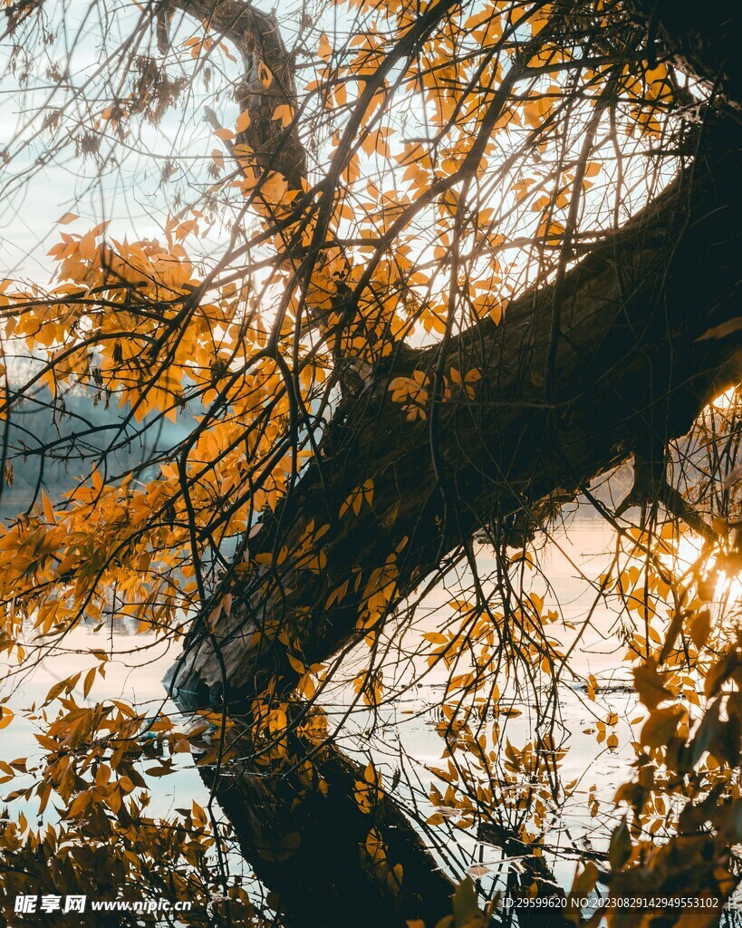 秋天