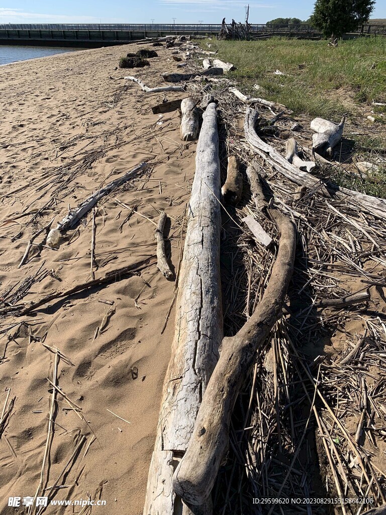 沙滩