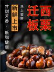 迁西板栗促销海报