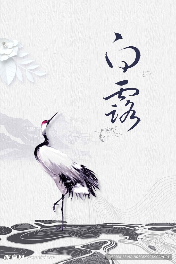 白露传统节气海报