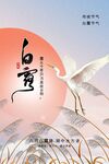 白露传统节气海报