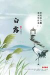 白露传统节气海报