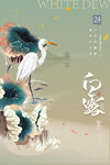 白露海报