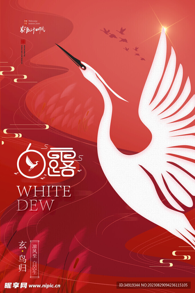 中式白露海报
