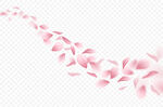 花瓣图片